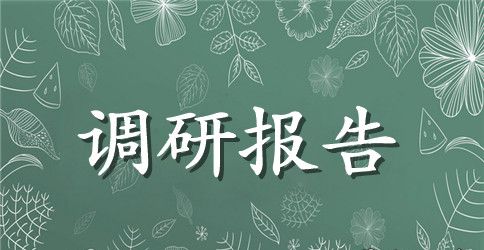 大学生暑假园区发展历程和现状调研报告范文