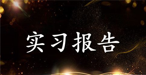会计电算化实习生的个人实习报告范文