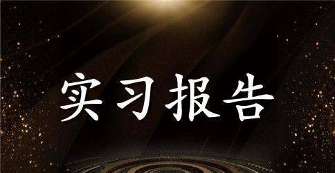 毕业实习报告精选：税务实习报告