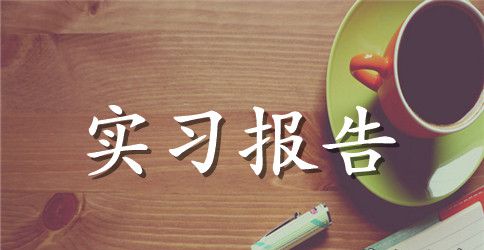 工业设计专业实地暑期个人实习报告范文