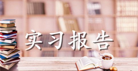 大学生暑假社会工作个人实习报告范文
