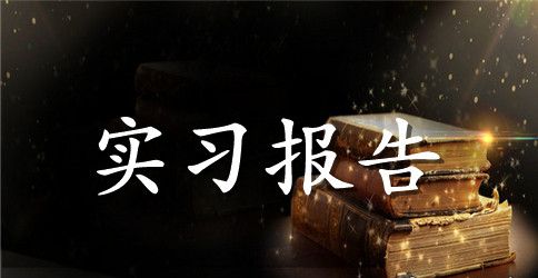 会计事务所审计实习报告范文