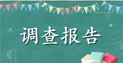 服装市场调查报告