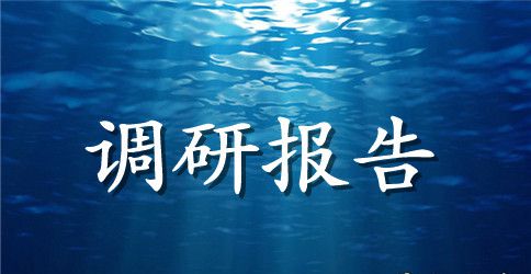 基础教育调研报告范文