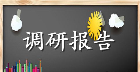 暑假社会实践调研报告2023