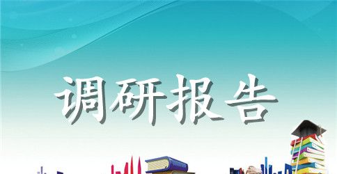 市场调研报告的格式与范文