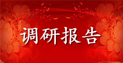 农村小学教育调研报告