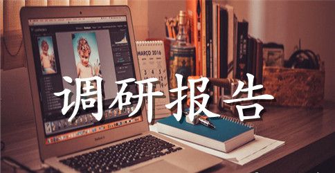 开展两学一做调研报告【精选】