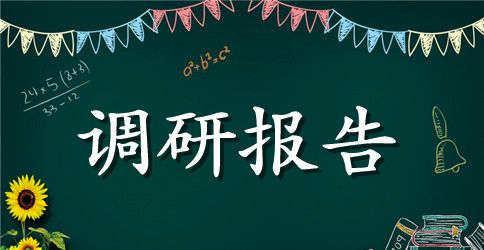 关于2023乡镇两学一做调研报告