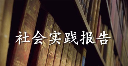 暑假实习教师社会实践总结报告