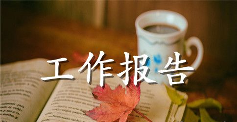 干部个人工作总结