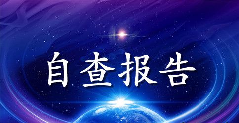 机关财务自查报告