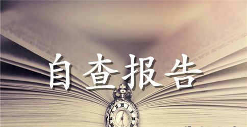 政府信息公开保密自查报告