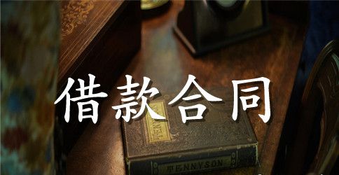 公司与个人的借款合同范本