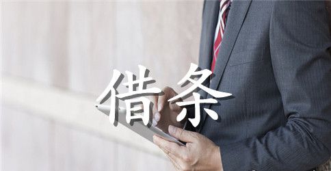 个人之间借款借据范文精选