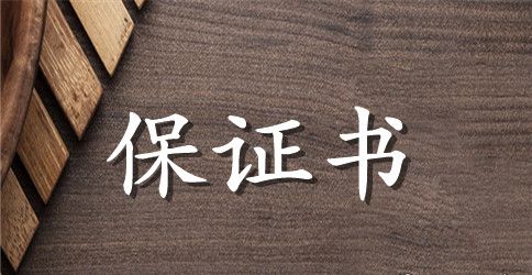 努力工作的保证书