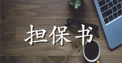 【精选】个人担保合同三篇