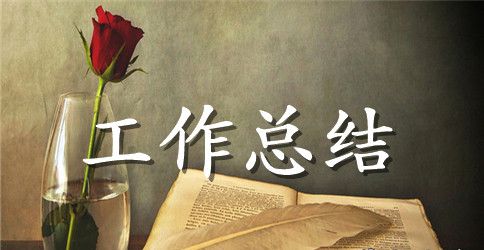 【精华】员工年终个人工作总结模板