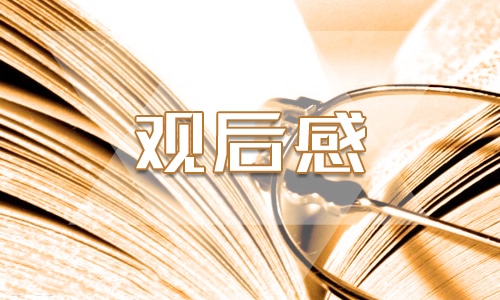 2022年‘新时代好少年’事迹直播观后感范文10篇