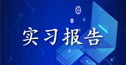 【必备】专业实习报告四篇