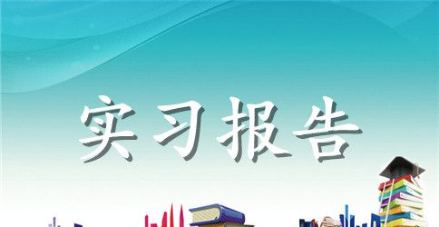 【精华】大学生实习报告范文合集6篇