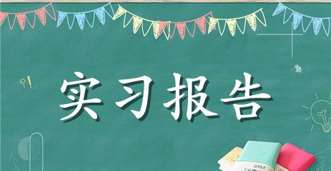 精选专业实习报告模板锦集十篇
