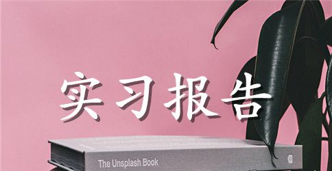 【精华】大学生实习报告汇总七篇