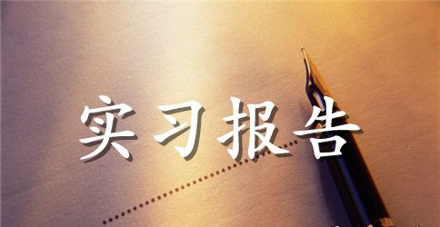 关于毕业实习报告十篇