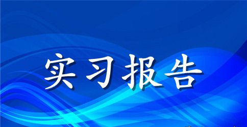精选专业实习报告模板合集七篇