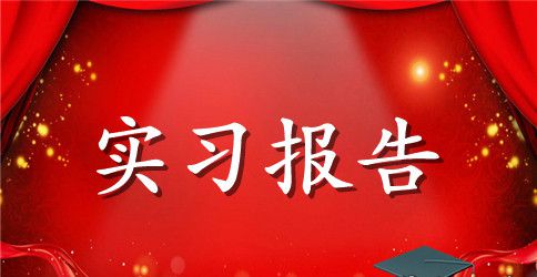 【推荐】大学生实习报告模板集锦七篇