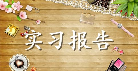 精选大学生实习报告范文集锦十篇