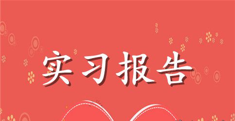 【精选】专业实习报告集合10篇