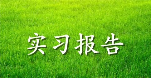 【精选】暑假实习报告四篇