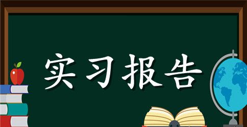 【精华】专业实习报告集合10篇