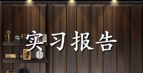 实用的会计实习报告合集8篇