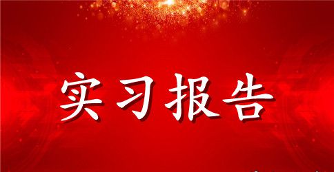 【实用】会计实习报告汇总八篇