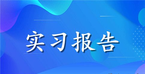 顶岗实习报告格式参考样本