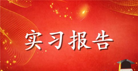 最新大学生顶岗实习报告