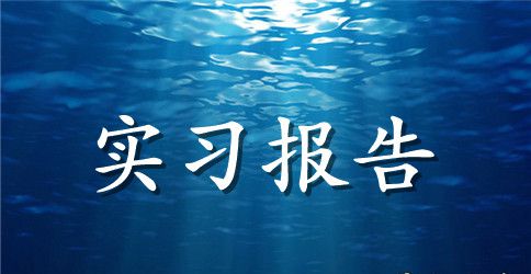 销售顶岗实习报告周记4篇