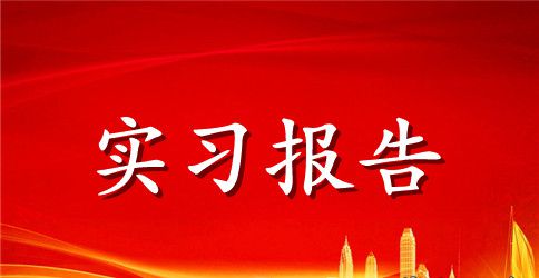 精选2023税务师实习报告范文
