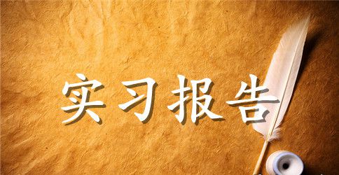 财务毕业生实习报告范例