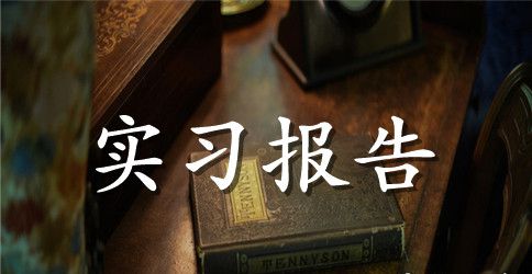土木工程专业大学生土木实习报告