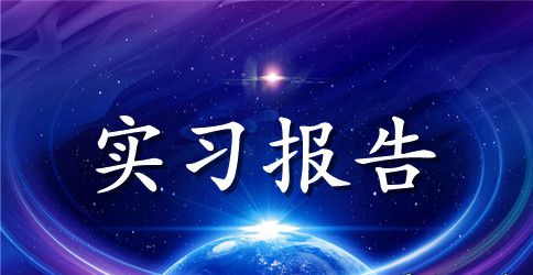 2023年大学生实习报告范文：税务师事务所实习