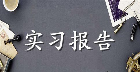 物资采购实习报告范文