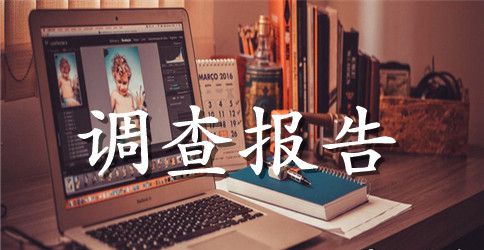【精品】环境调查报告作文5篇