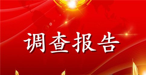 农村环境调查报告