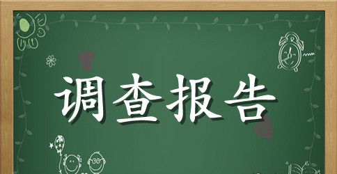 毛概社会实践调查报告