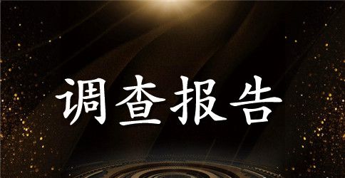 关于企业调查报告范文