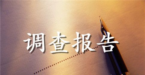 欢欢喜喜过新年之年俗调查报告