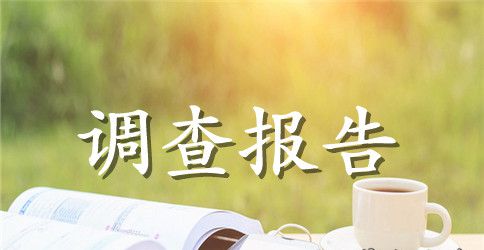 社会会计情况调查报告
